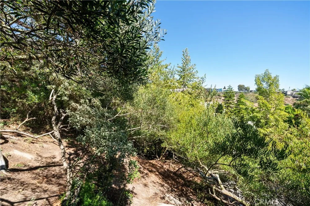 2210 Bridge Laguna Beach, CA 92651