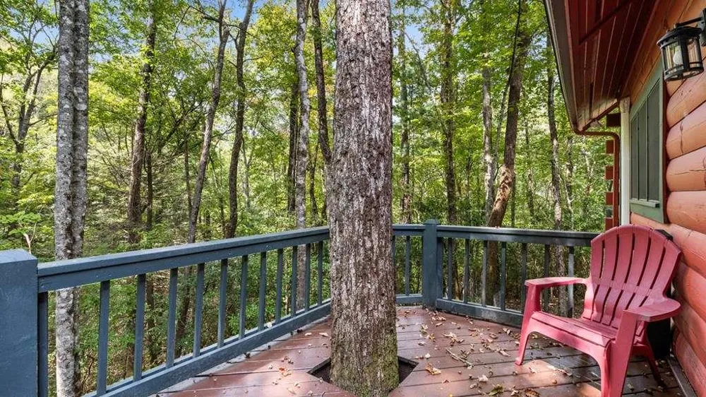 390 Butler Creek Road Cherry Log, GA 30522