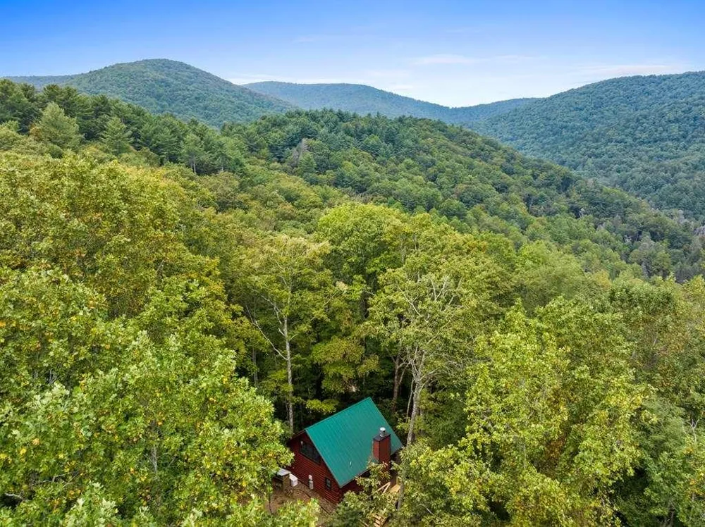 390 Butler Creek Road Cherry Log, GA 30522