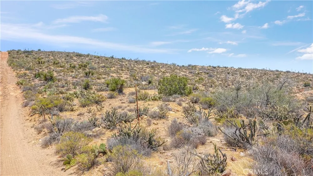Desert Rose Ranch Road Jacumba, CA 91934