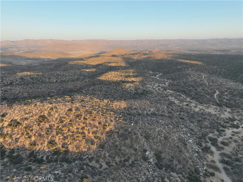 Desert Rose Ranch Road Jacumba, CA 91934