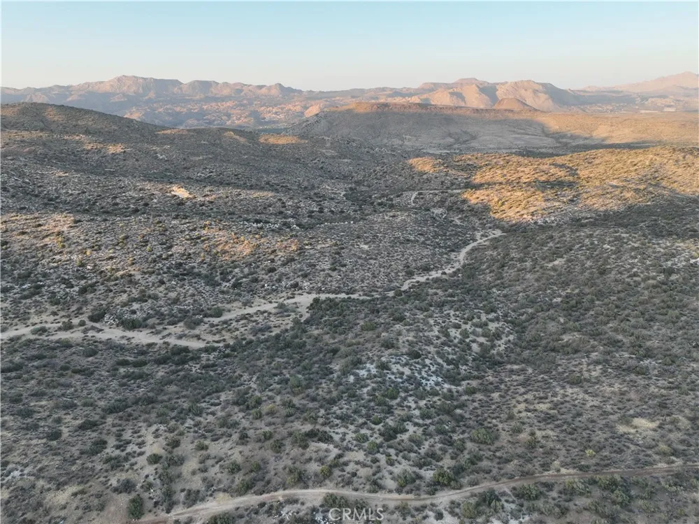 Desert Rose Ranch Road Jacumba, CA 91934
