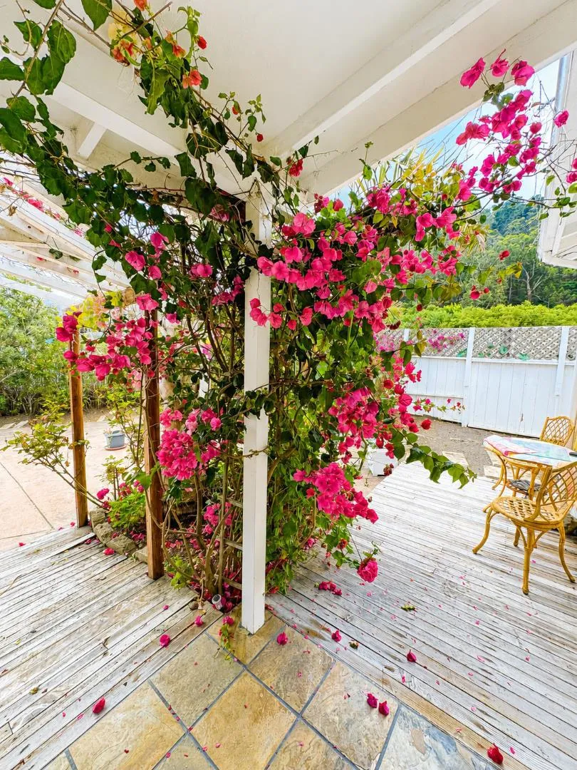 1290 De Solo Drive Pacifica, CA 94044