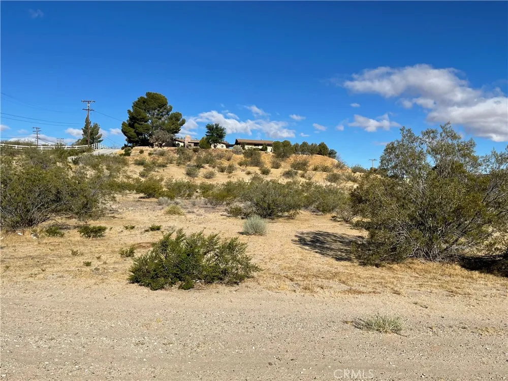 Rodeo Victorville, CA 92395