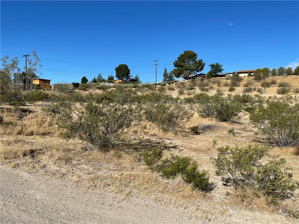 Rodeo Victorville, CA 92395