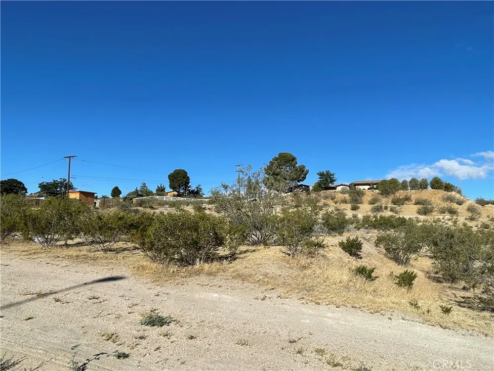 Rodeo Victorville, CA 92395