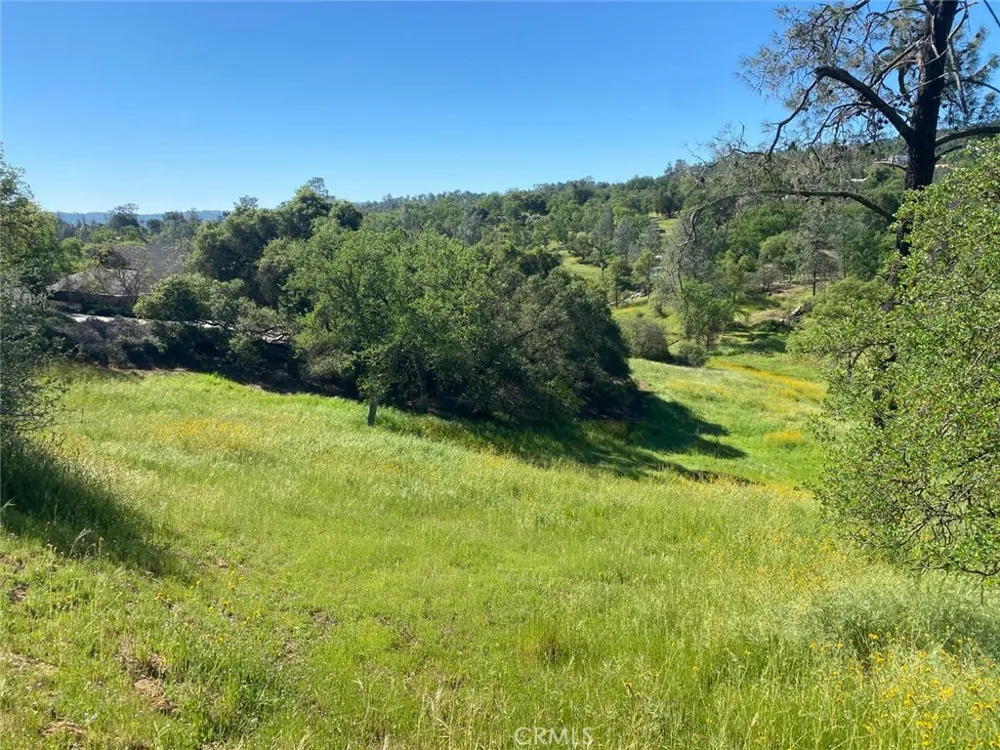 17 Titan Coarsegold, CA 93614