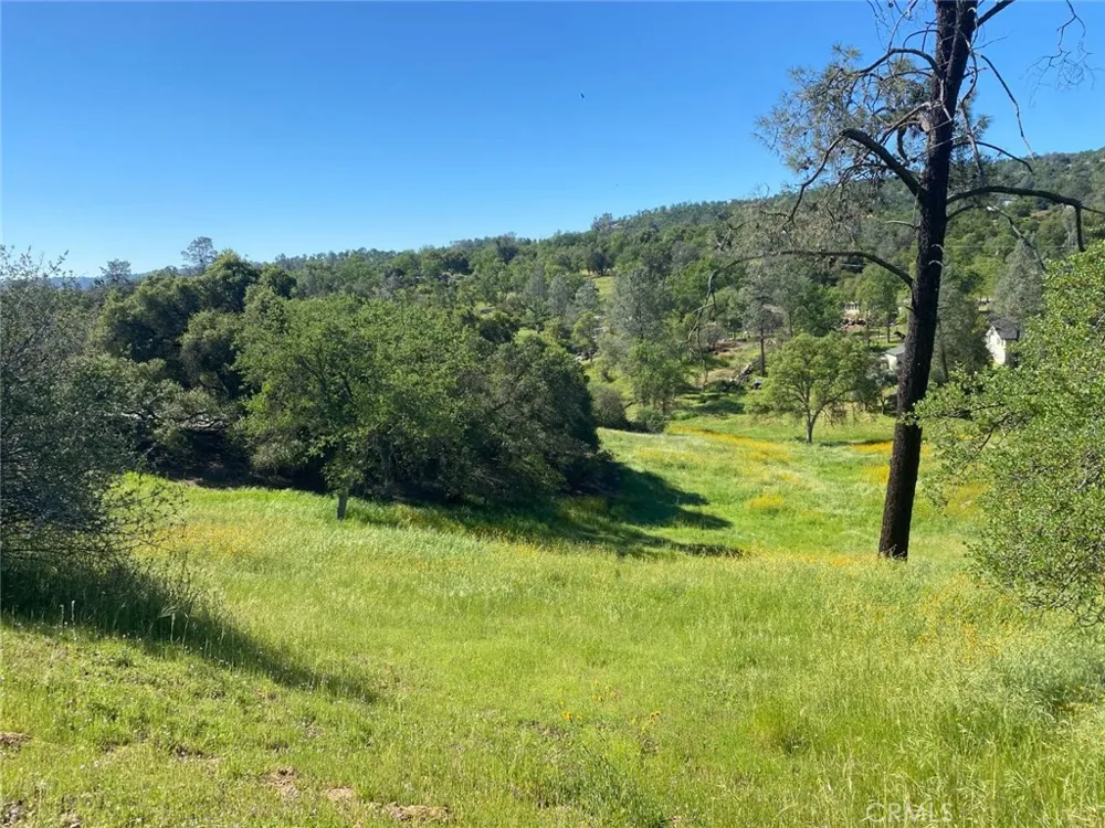 17 Titan Coarsegold, CA 93614