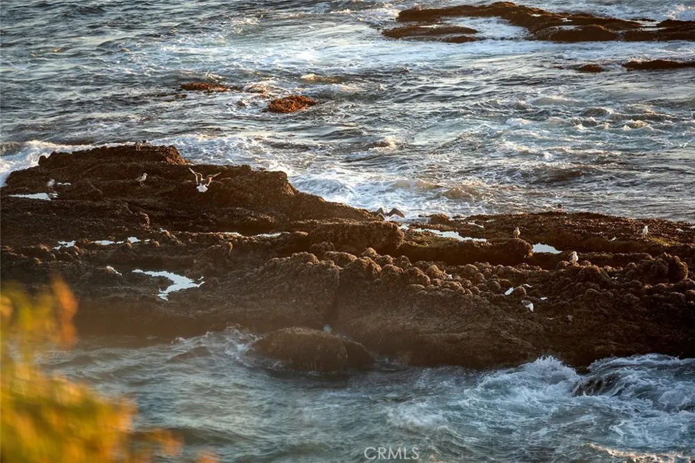 2665 Victoria Drive Laguna Beach, CA 92651