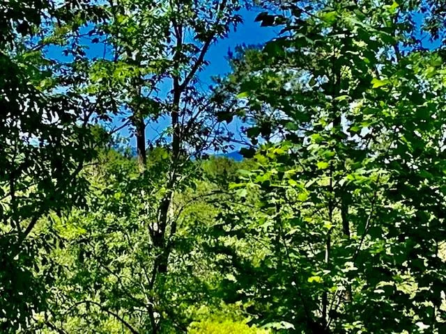 0 Auraria Ridge Dawsonville, GA 30534