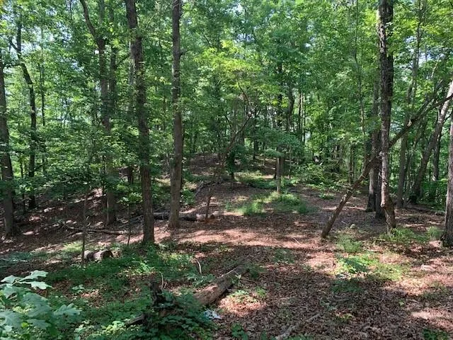 0 Auraria Ridge Dawsonville, GA 30534