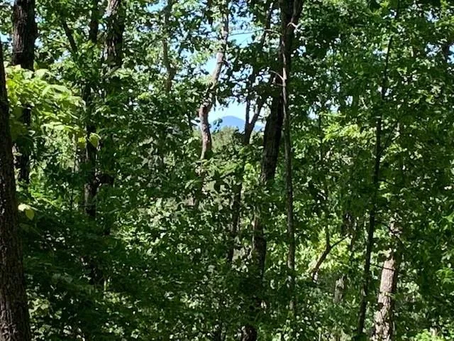 0 Auraria Ridge Dawsonville, GA 30534