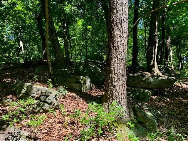 0 Auraria Ridge Dawsonville, GA 30534