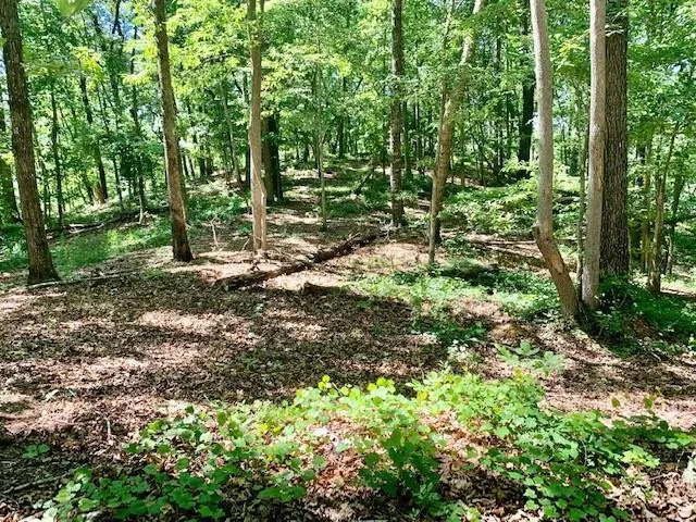 0 Auraria Ridge Dawsonville, GA 30534