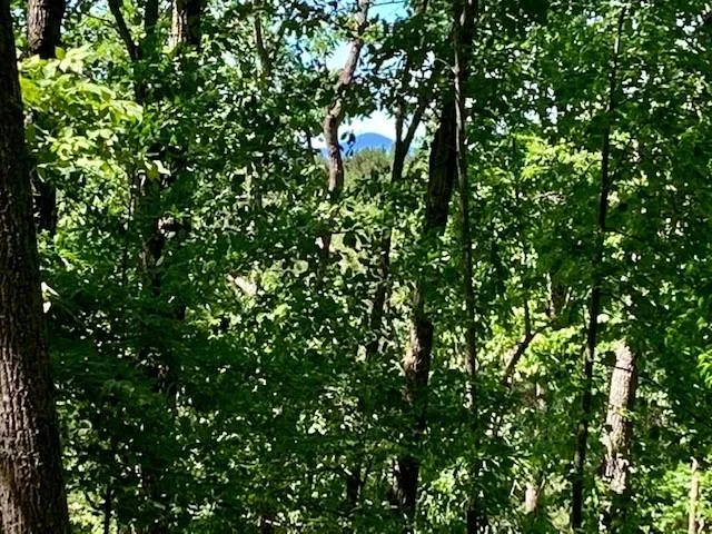0 Auraria Ridge Dawsonville, GA 30534