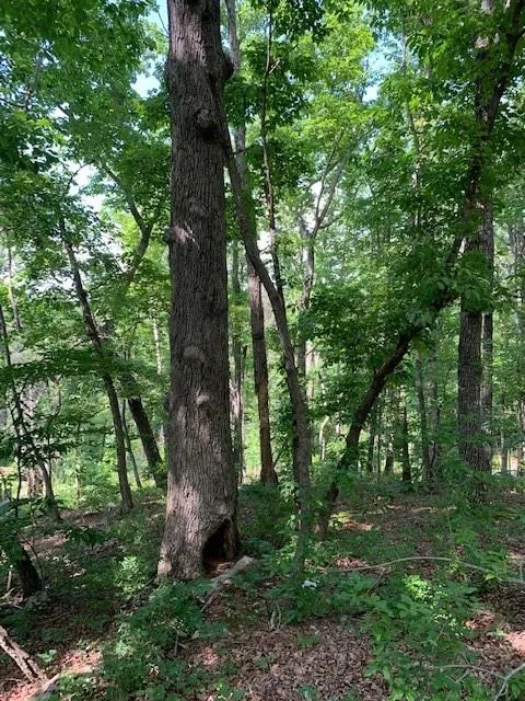 0 Auraria Ridge Dawsonville, GA 30534