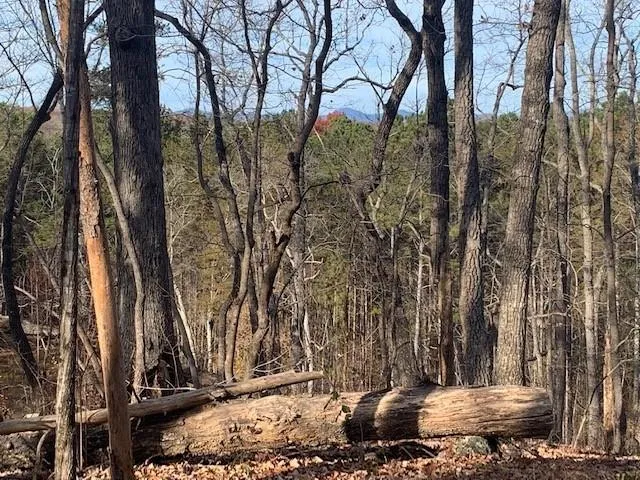 0 Auraria Ridge Dawsonville, GA 30534