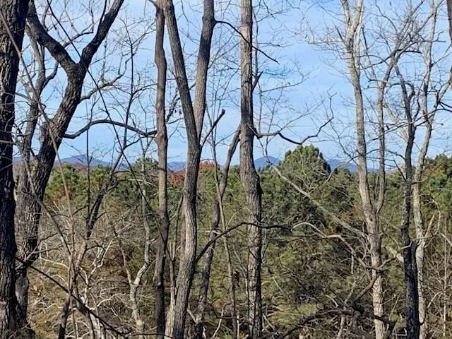 0 Auraria Ridge Dawsonville, GA 30534