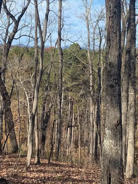 0 Auraria Ridge Dawsonville, GA 30534