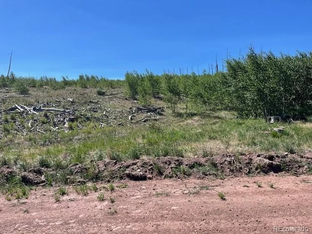 906 Huntington Lane Fort Garland, CO 81133