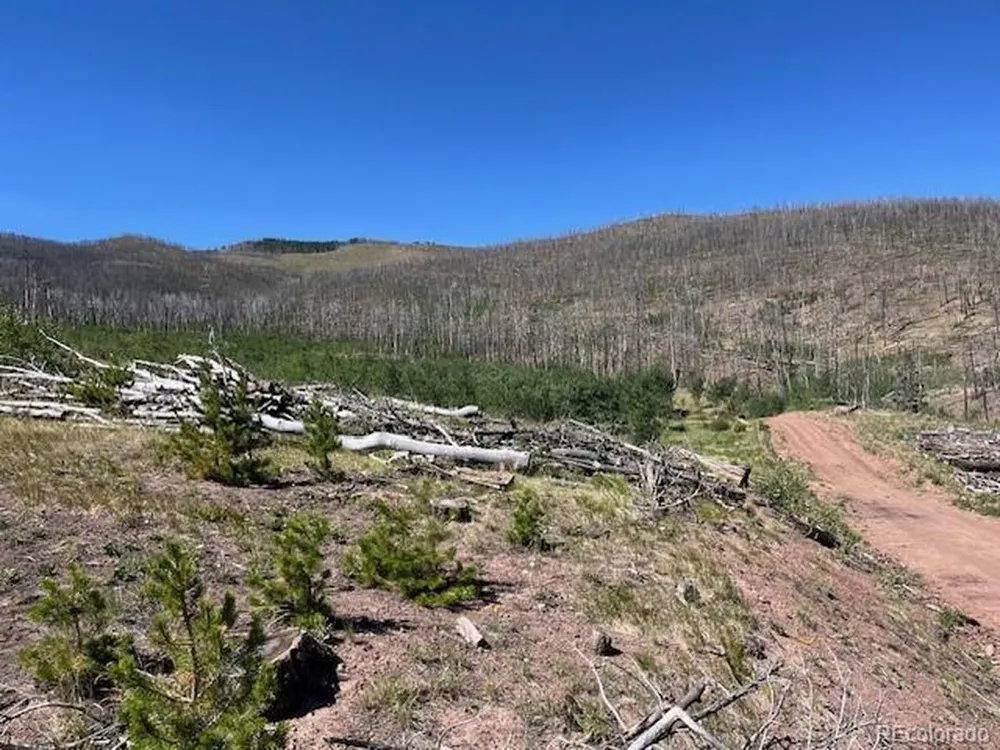 906 Huntington Lane Fort Garland, CO 81133