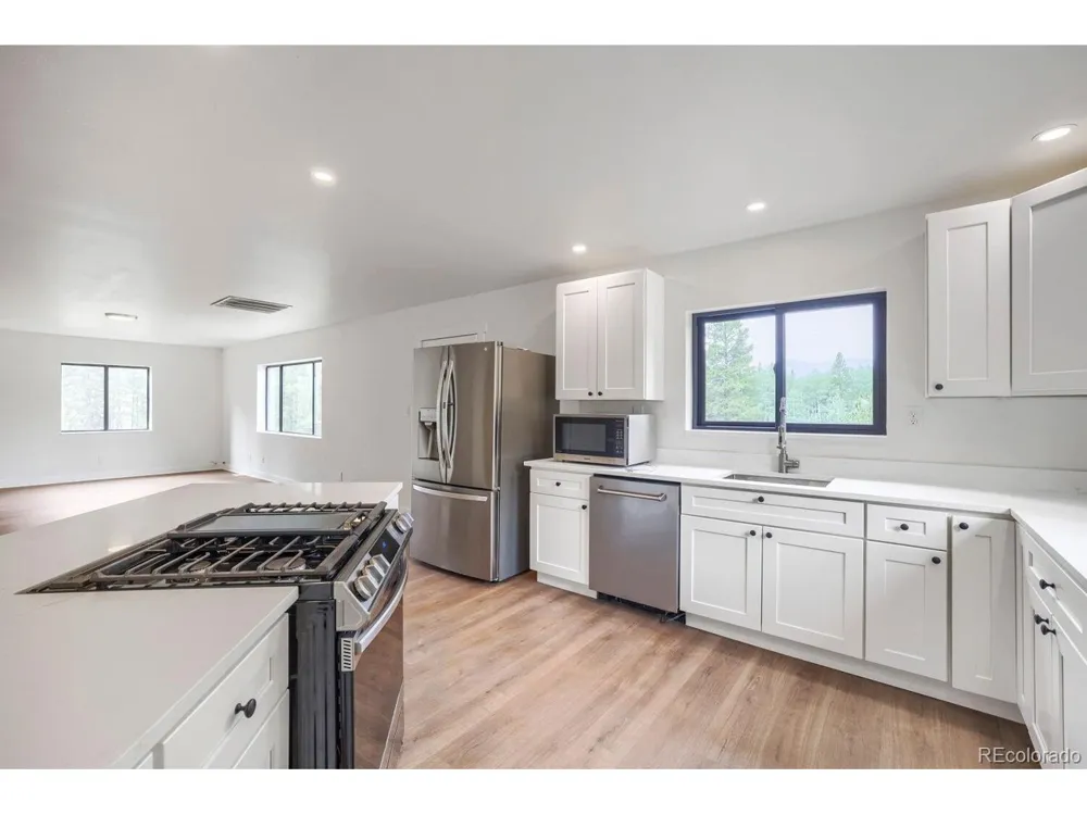 93 Prospect Drive Alma, CO 80420