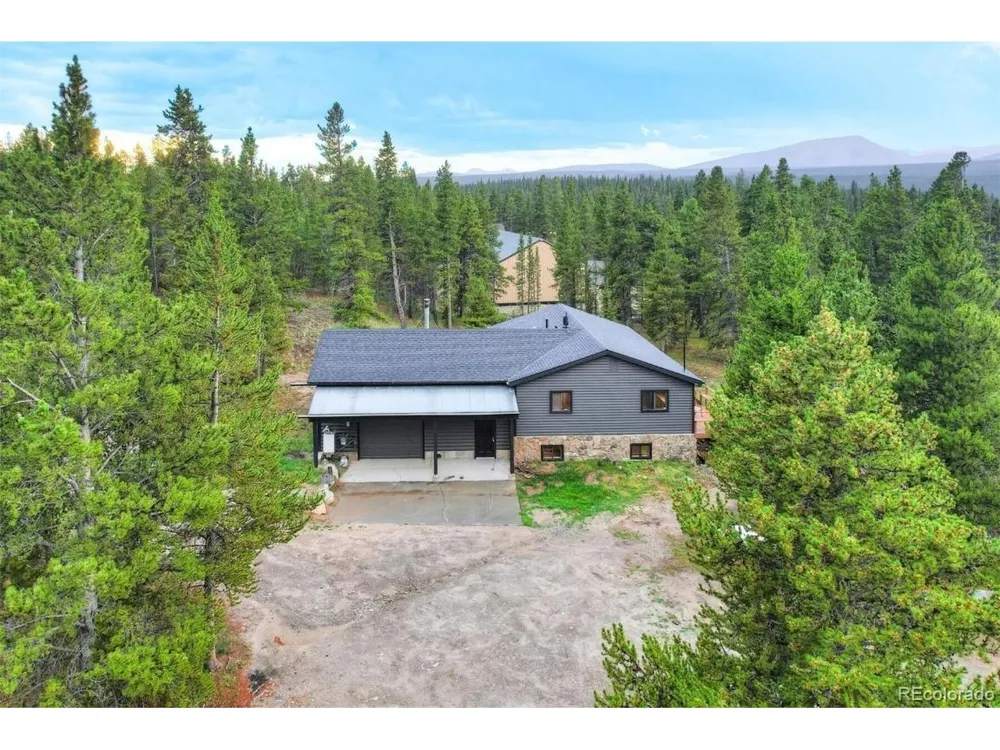 93 Prospect Drive Alma, CO 80420