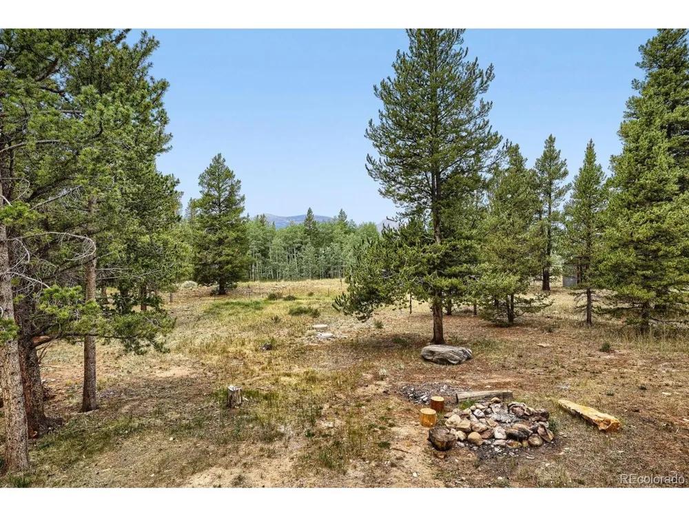 93 Prospect Drive Alma, CO 80420