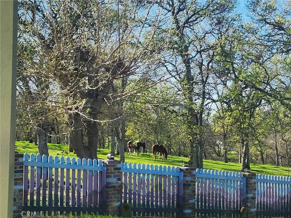 19989 State Highway 36 W Red Bluff, CA 96080