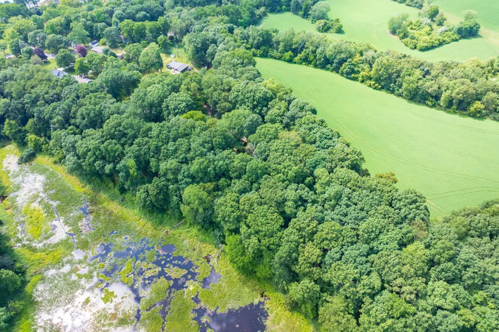 3818 Heights Drive Ross Township, MI 49060