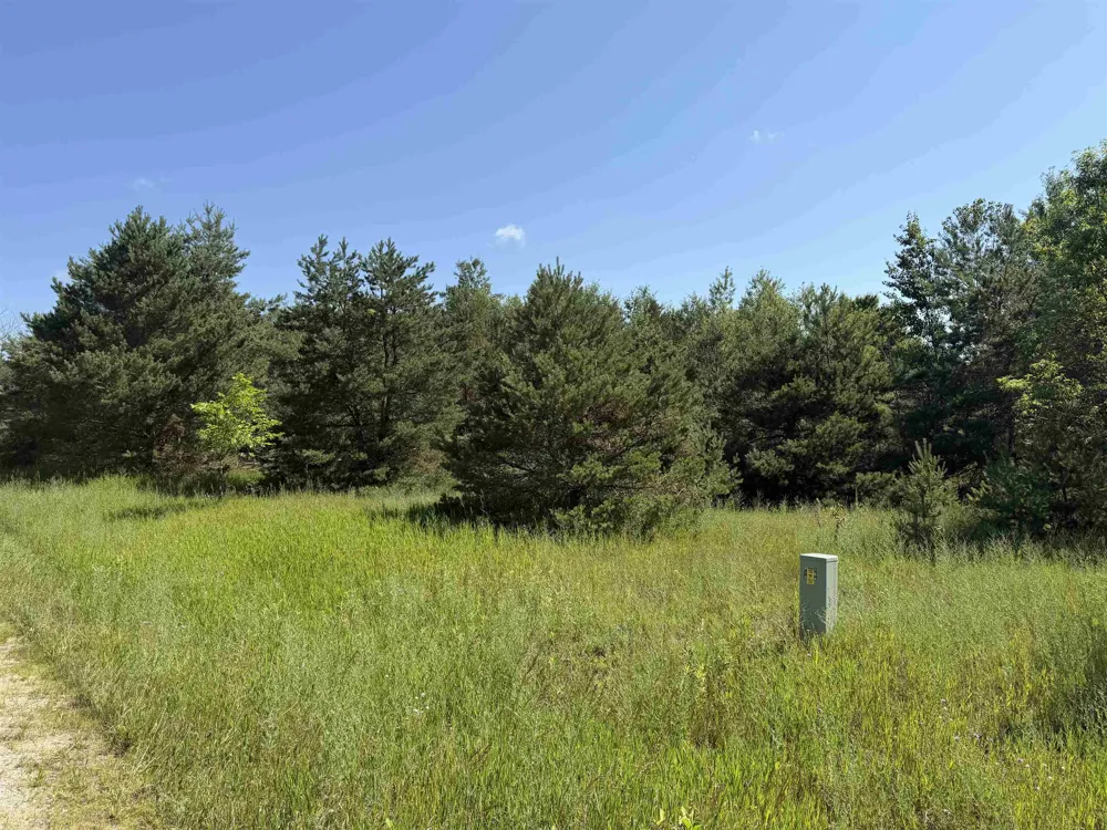 8819 Harlan Road Cleon Township, MI 49625