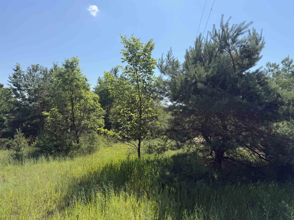 8819 Harlan Road Cleon Township, MI 49625