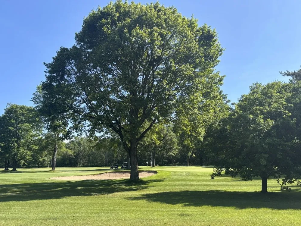 8444 Pineview Mancelona Township, MI 49659