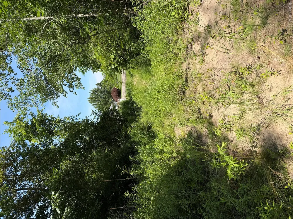 Riverbend Court Oscoda Charter Township, MI 48750