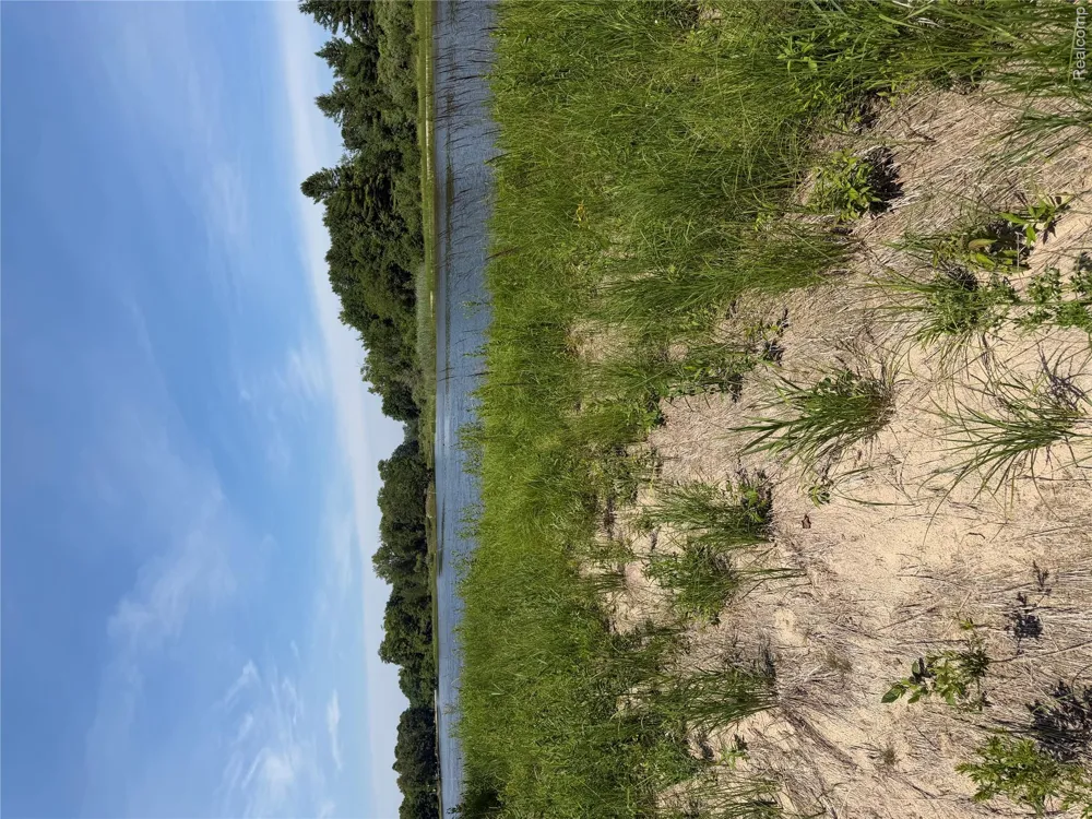 Riverbend Court Oscoda Charter Township, MI 48750