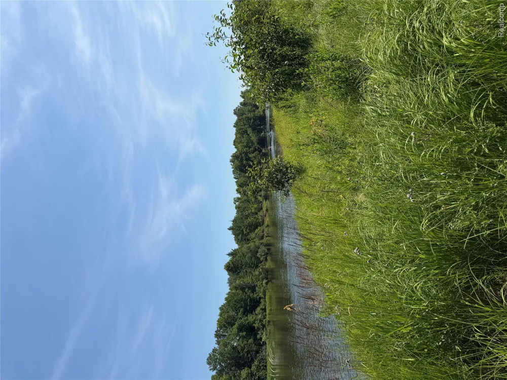 Riverbend Court Oscoda Charter Township, MI 48750