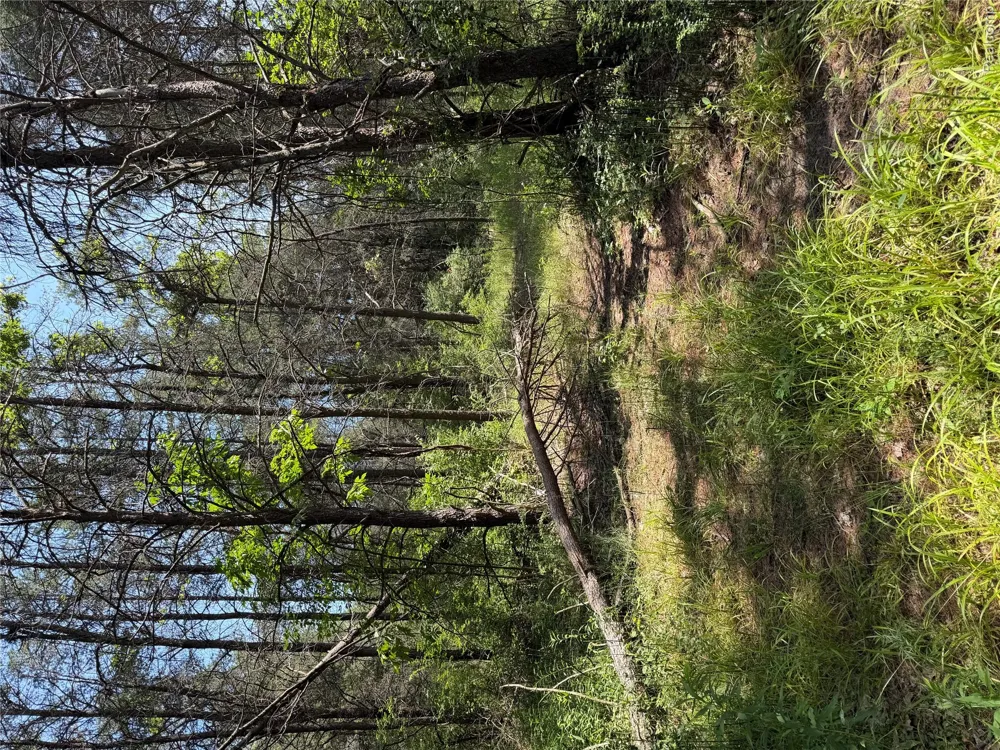 Riverbend Court Oscoda Charter Township, MI 48750