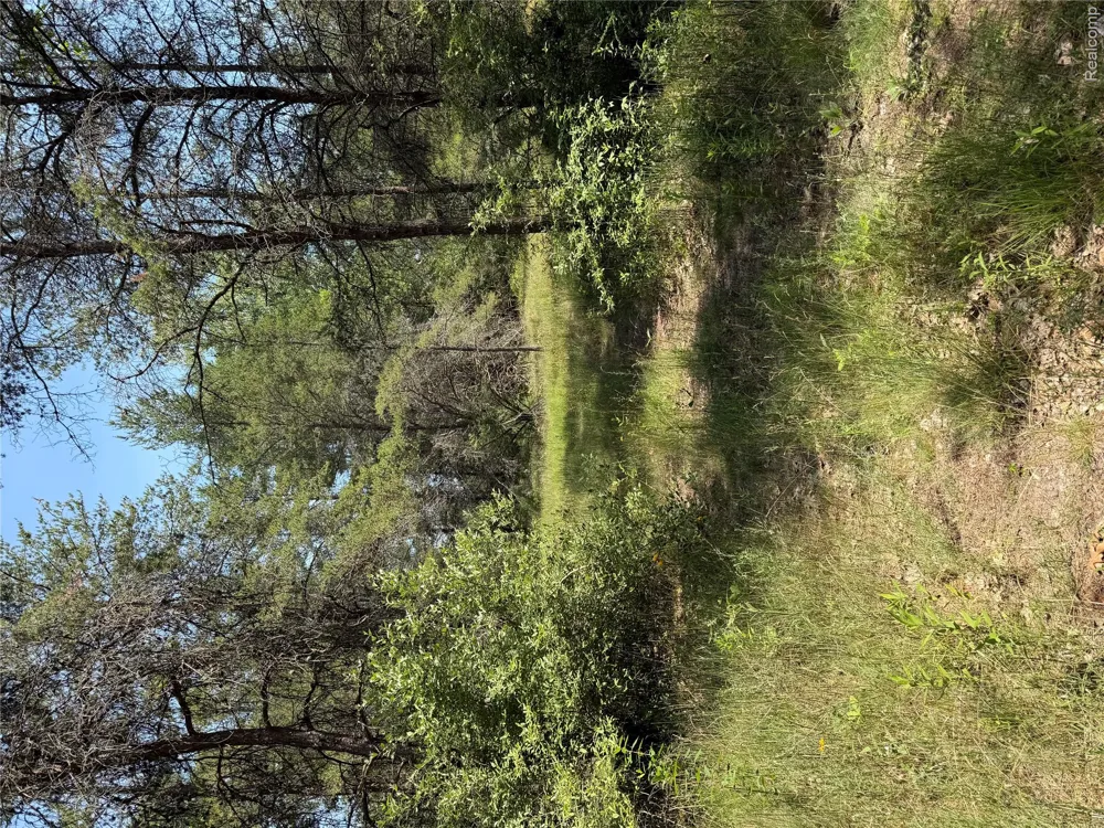 Riverbend Court Oscoda Charter Township, MI 48750