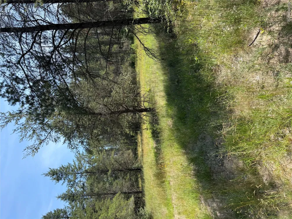 Riverbend Court Oscoda Charter Township, MI 48750