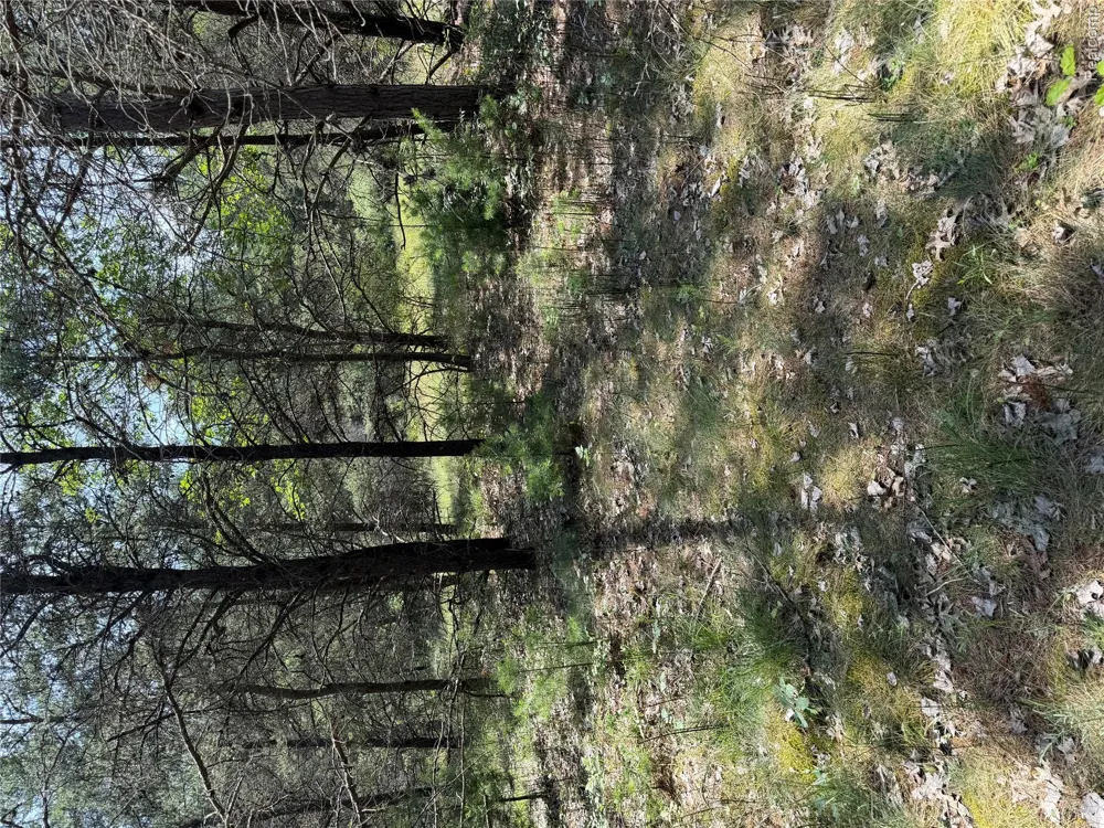 Riverbend Court Oscoda Charter Township, MI 48750