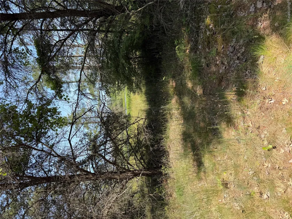 Riverbend Court Oscoda Charter Township, MI 48750