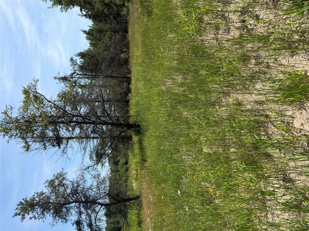 Riverbend Court Oscoda Charter Township, MI 48750