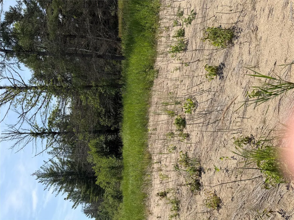 Riverbend Court Oscoda Charter Township, MI 48750