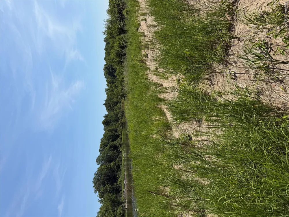 Riverbend Court Oscoda Charter Township, MI 48750