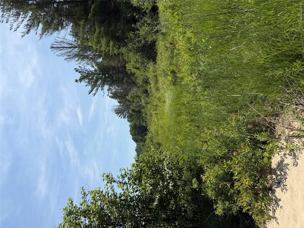 Riverbend Court Oscoda Charter Township, MI 48750