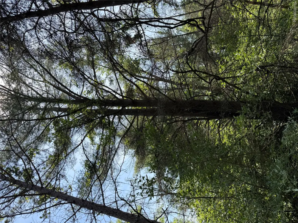 Riverbend Court Oscoda Charter Township, MI 48750