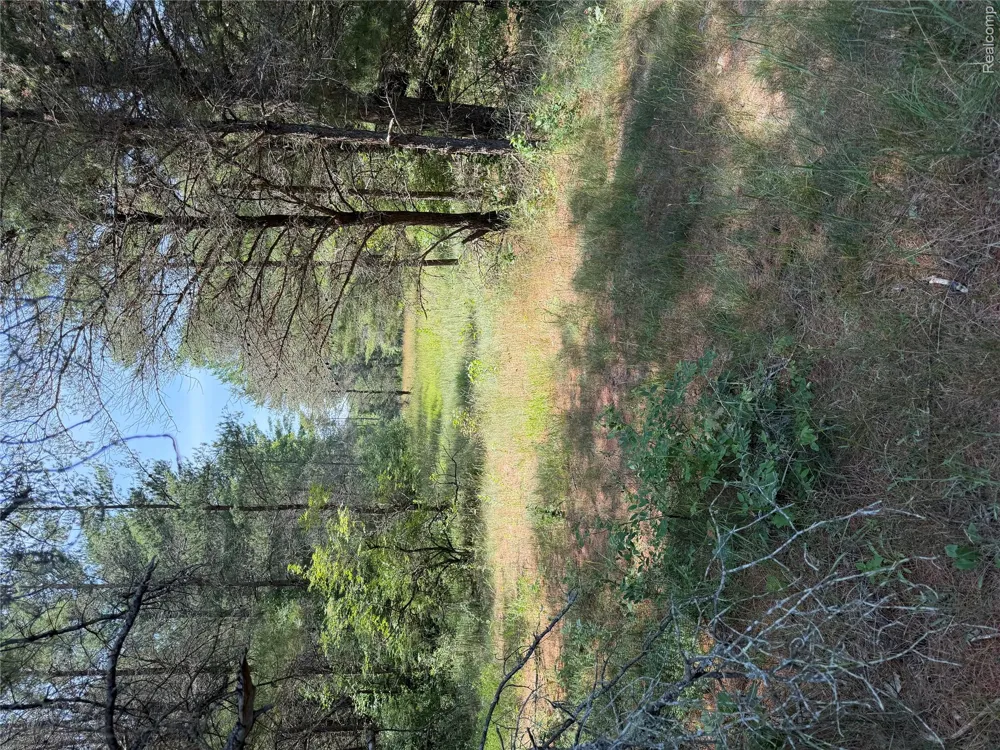 Riverbend Court Oscoda Charter Township, MI 48750