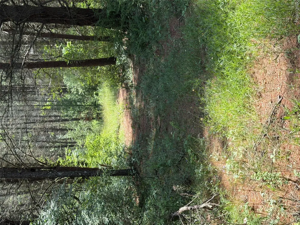 Riverbend Court Oscoda Charter Township, MI 48750