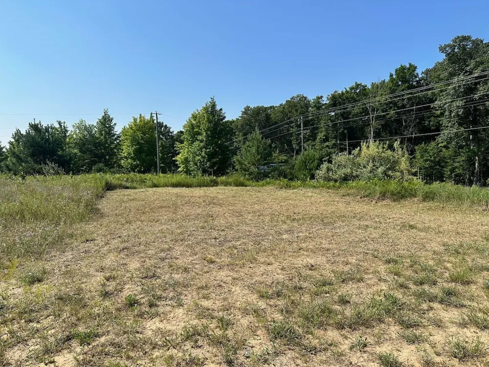 Shanty Creek Road Custer Township, MI 49615