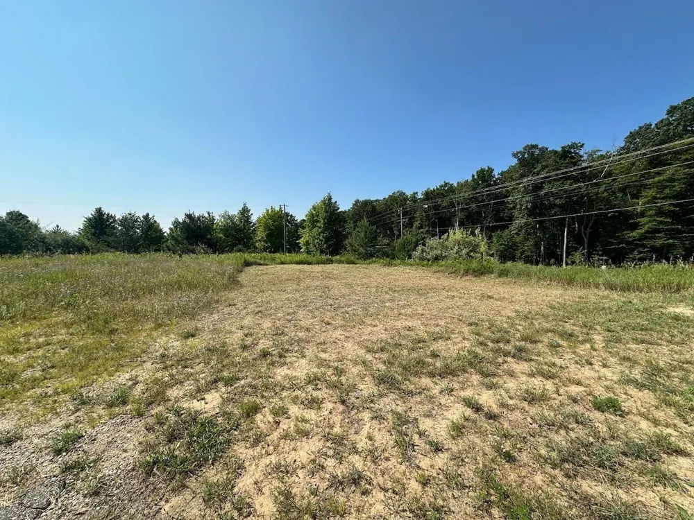 Shanty Creek Road Custer Township, MI 49615
